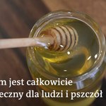 Ul w salonie? Teraz każdy może produkować miód w domu 