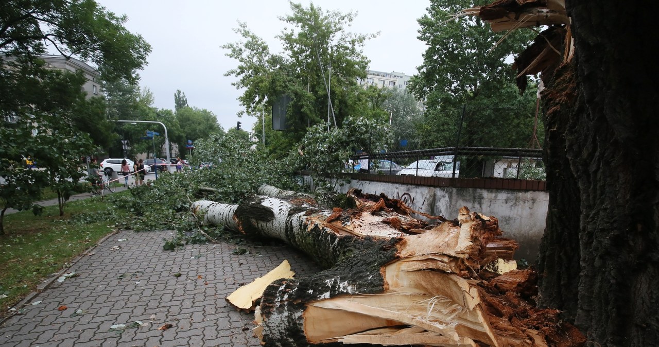 Ulewa w stolicy. Połamane drzewa i strugi deszczu na ulicach