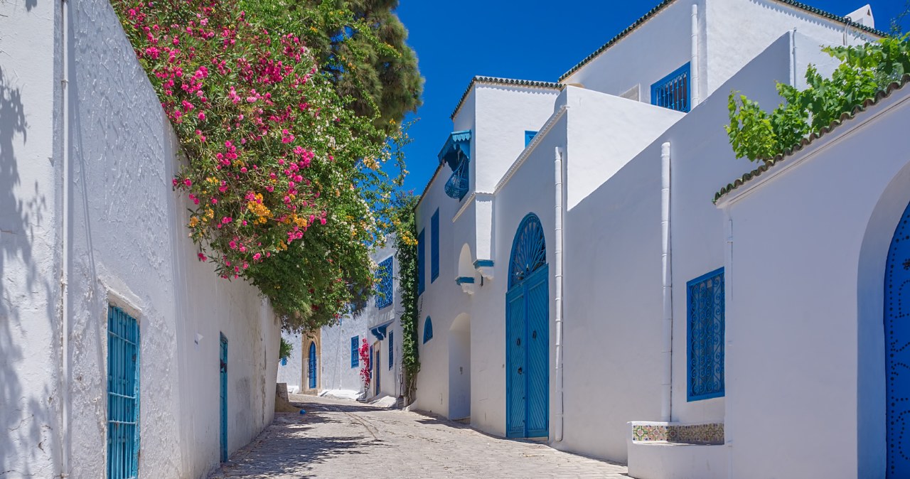 Ulice w Sidi Bou Saïd /123RF/PICSEL