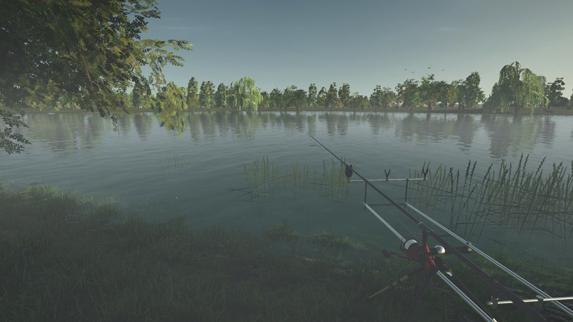 Ultimate Fishing Simulator /materiały prasowe