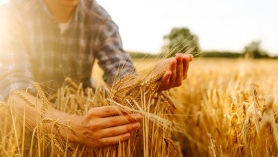 Umowa UE z Mercosur nieunikniona 