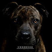 WNDKR: -Underdog