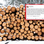 Unia Europejska chce kontrolować polskie lasy. PiS krytykuje, PO popiera