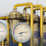 Unia Europejska zatwierdziła dobrowolne zmniejszenie zużycia gazu. Polska przeciwna