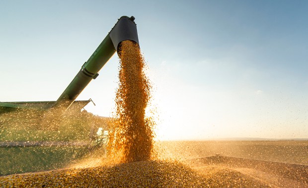 ​Unijni urzędnicy: Przywrócenie ceł na ziarno z Ukrainy nie będzie łatwe