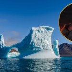 Unikalne znaleziska na Grenlandii. A to tam chce wkroczyć Donald Trump