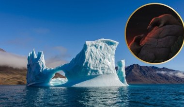 Unikalne znaleziska na Grenlandii. A to tam chce wkroczyć Donald Trump