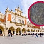Unikalne znalezisko w Krakowie. Ma 180 milionów lat 