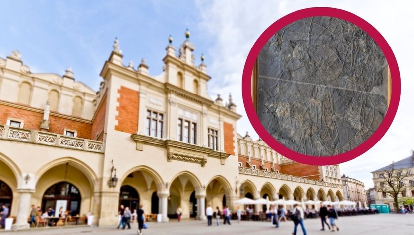 Unikalne znalezisko w Krakowie. Ma 180 milionów lat 