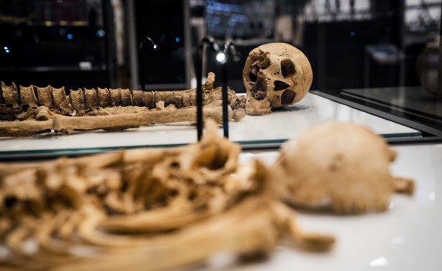 Unikatowe odkrycie. Znaleziono szczątki spokrewnionych wikingów