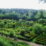 Unikatowy ogród botaniczny w krainie Górnej Odry. Dzika przyroda i atrakcje