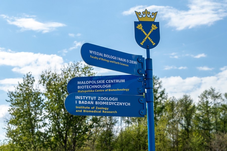 Co po maturze? Kiedy rekrutacja? Najpopularniejsze kierunki studiów