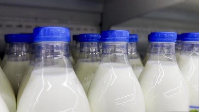 Upadek kultowej mleczarni. Wszyscy pracownicy zwolnieni