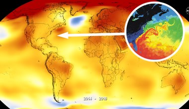 Upadek tego systemu cyrkulacji wód w Oceanie Atlantyckim spowoduje głębokie i globalne zmiany klimatu