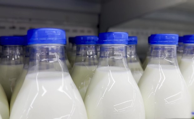 Upadłość blisko stuletniej mleczarni. Kilkadziesiąt osób bez pracy, lokalni rolnicy z problemem