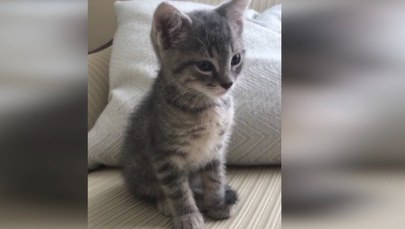 Upadnie, czy nie upadnie? Tak walczy się ze snem