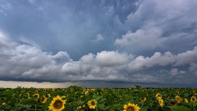 ​Upał i gwałtowne ochłodzenie. W tym tygodniu pogoda będzie zaskakiwać
