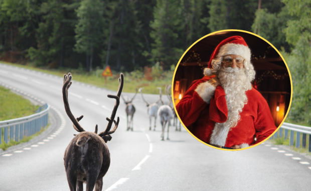 Upały dotarły do Laponii. Jak radzi sobie Mikołaj?