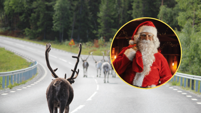 Upały dotarły do Laponii. Jak radzi sobie Mikołaj?