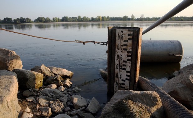 Upały nie odpuszczają: Alarmująco niski stan wody w rzekach