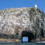 Upiorna wyspa, na której mieszkali tylko najodważniejsi. Odkryj jej mroczne sekrety  