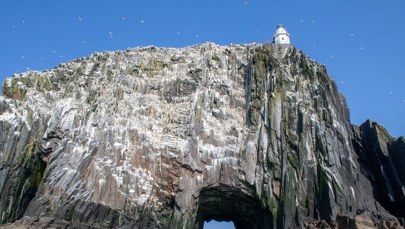 Upiorna wyspa, na której mieszkali tylko najodważniejsi. Odkryj jej mroczne sekrety  