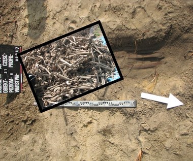 Upiorne znaleziska drogowców. Na S8 musieli ekshumować szczątki 3 tys. osób