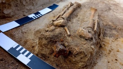 Upiorny pochówek dziecka odkryty na XVII-wiecznym cmentarzysku