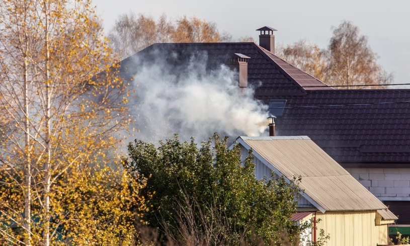 Upoważnione osoby lub organy mogą przeprowadzić kontrolę rutynowo lub intencjonalnie /123RF/PICSEL
