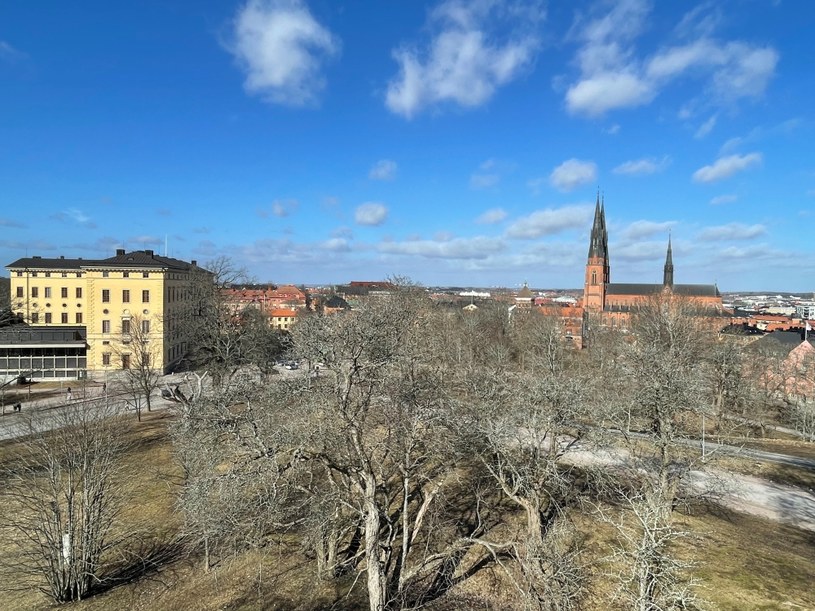Uppsala. Z lewej bibliotek uniwersytecka, z prawej katedra /INTERIA.PL