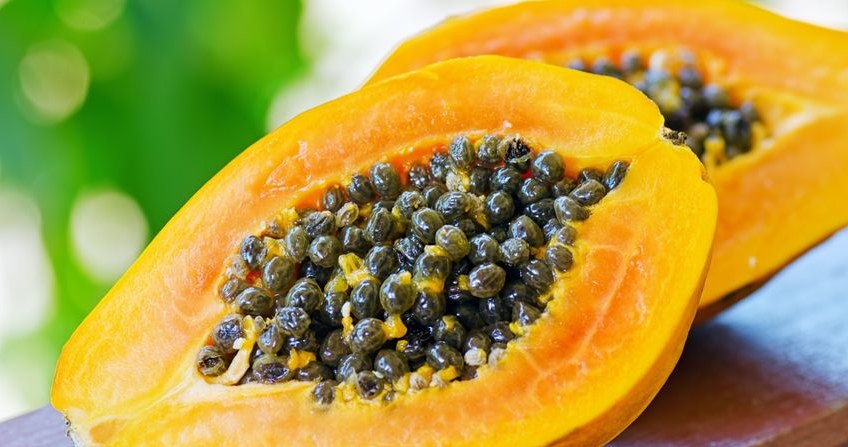 Uprawa papai w domu może być bardzo interesująca. Odpowiednia pielęgnacja sprawi, że uzyskamy nawet własne owoce.
