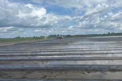 Uprawy na Dolnym Śląsku zniszczone przed deszcz i grad 