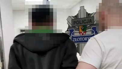 ​Uprowadzenie nastolatki. Policjanci zatrzymali podejrzanego