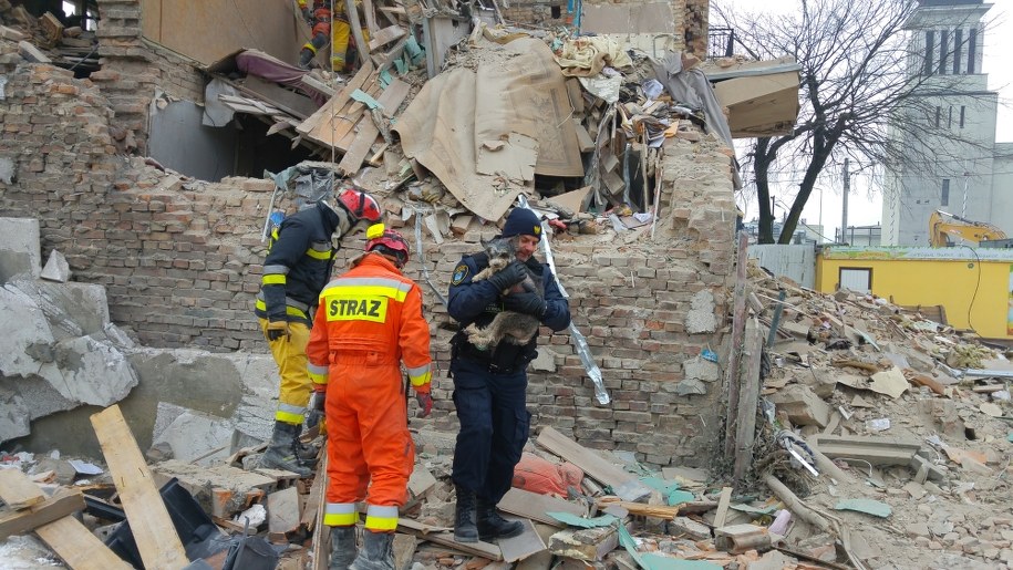 Uratowany pies /Państwowa Straż Pożarna