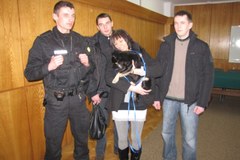 Uratowany przez policjantów piesek z rzeki Bystrzycy