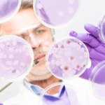 Uratują nas przed superbakteriami? Niezwykłe wyniki badań nad mrówkami