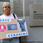 "Uratujmy Geronimo". W Londynie odbyła się manifestacja w obronie alpaki