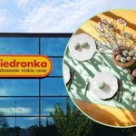 Urocza porcelana wysokiej jakości w promocji w Biedronce! Ten 18-elementowy zestaw obiadowy kupisz teraz 180 zł taniej!