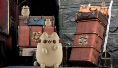 Urocze i magiczne kosmetyki Pusheen i Harry Potter w Lidlu! Idealne na prezent!