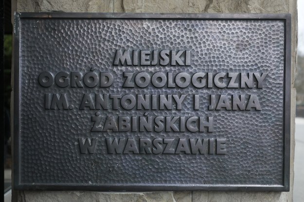 Uroczyste odsłonięcie tablicy z imionami patronów Miejskiego Ogrodu Zoologicznego w Warszawie - Antoniny i Jana Żabińskich /Paweł Supernak /PAP