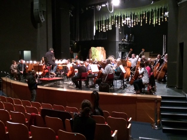 Uroczyste otwarcie odnowionej Filharmonii Śląskiej odbędzie się 28 marca /Anna Kropaczek /RMF FM
