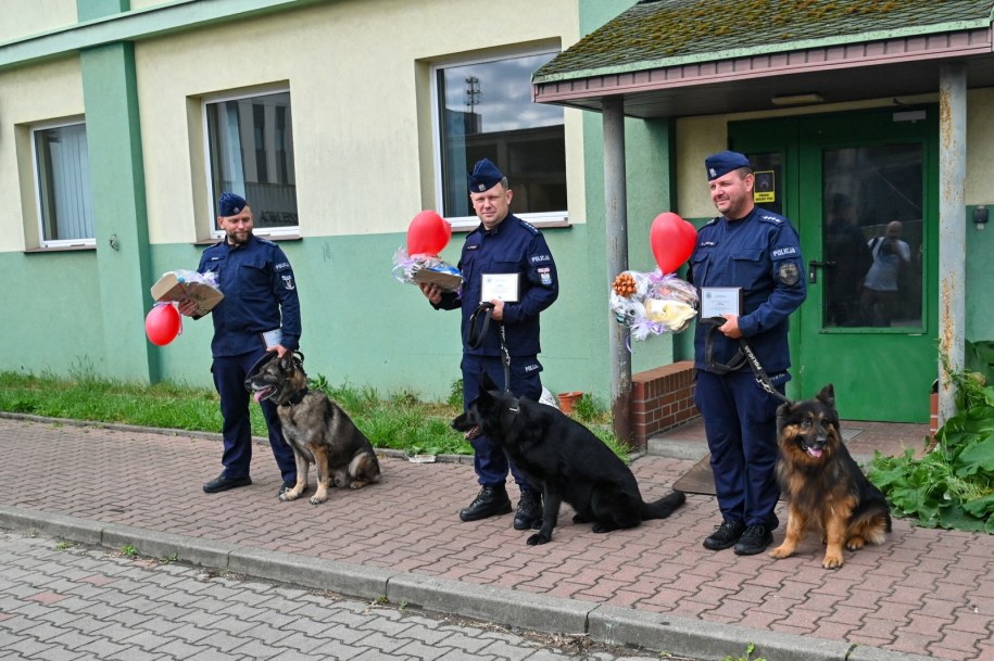 Uroczystość pożegnania trzech psów służbowych w Komendzie Miejskiej Policji w Szczecinie / 	Marcin Bielecki    /PAP