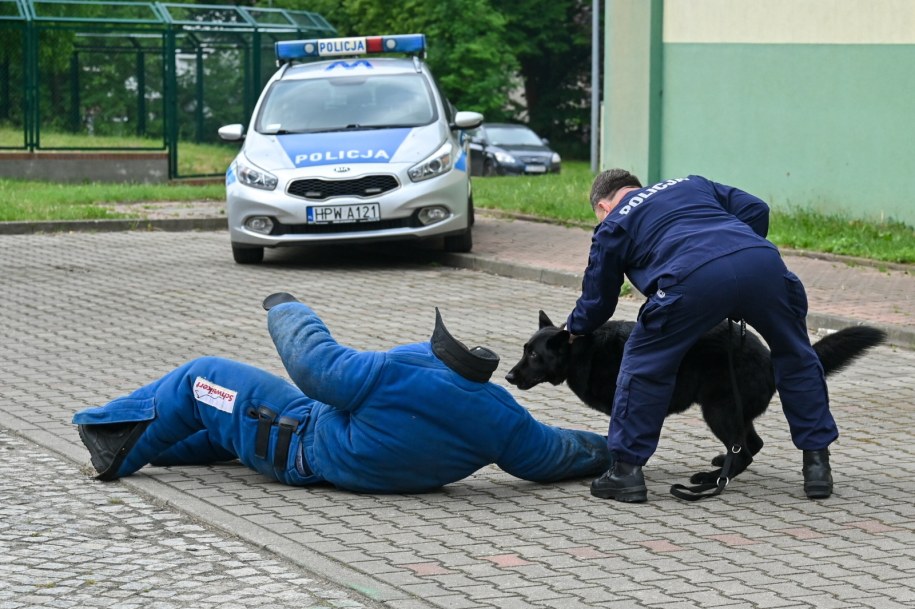 Uroczystość pożegnania trzech psów służbowych w Komendzie Miejskiej Policji w Szczecinie / 	Marcin Bielecki    /PAP