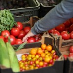 Urodzaj i niskie ceny: Raj dla konsumentów, piekło dla rolników