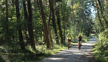 Urokliwa ścieżka rowerowa blisko Krakowa. Sprawdzi się nawet w upalne dni 