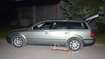 ​Urządzili kulig w środku lata. Wycieczka zakończyła się na ogrodzeniu