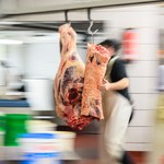 USA: Dzieci zatrudnione w rzeźniach. Firma zapłaciła duże kary