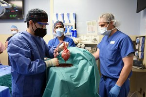 USA: Lekarze udanie wszczepili człowiekowi świńskie serce