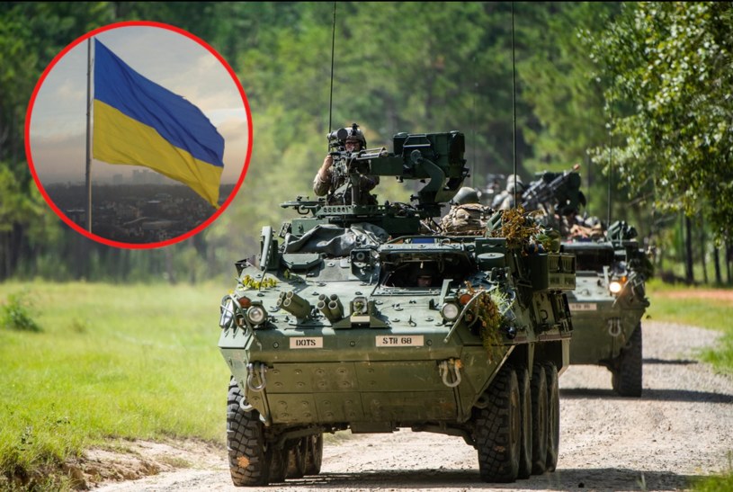 USA ma rozważać wysłanie do Ukrainy wozów Stryker. Co to za maszyny? /Patrick Albright /domena publiczna
