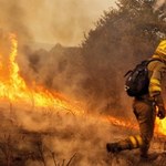 USA: Nieznany los 100 osób po pożarach w Kalifornii